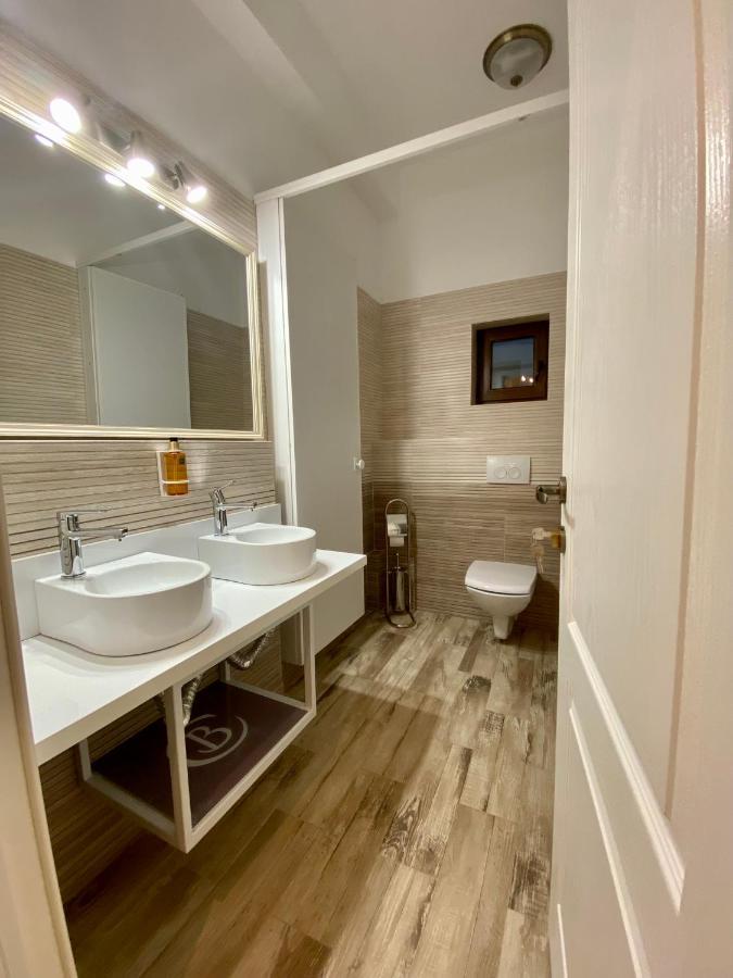 Guest house Pensiunea Charlotte Boutique Bacau